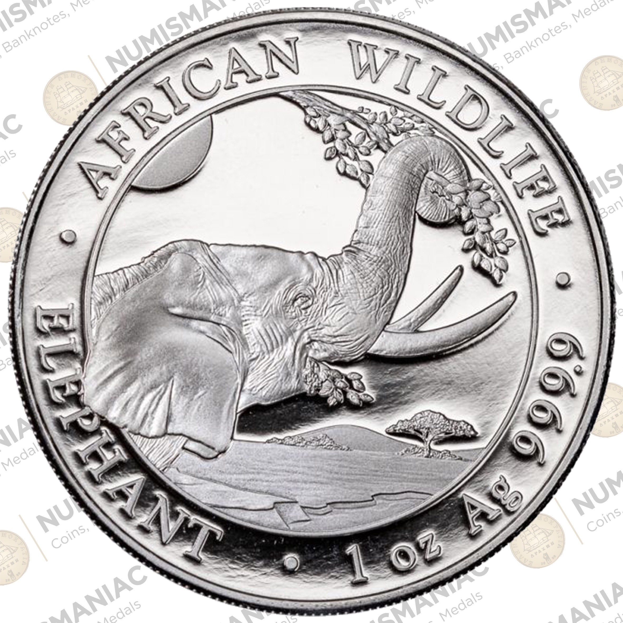 Somalia 🇸🇴 Somalia Elephant 2023 1oz Silver A