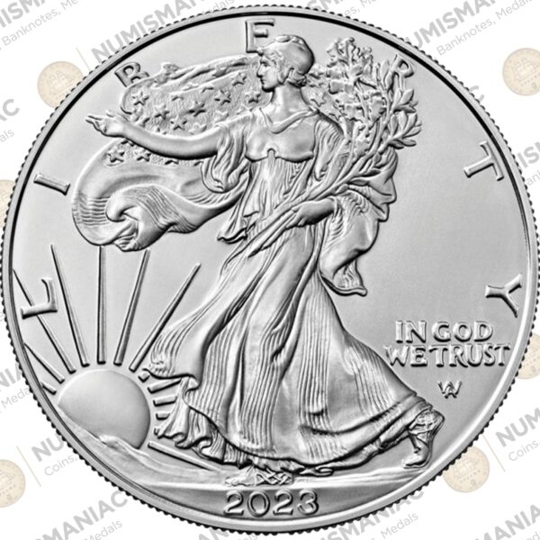 USA 🇺🇸 Silver Eagle 2023 - 1oz Silver Bullion Coin. b