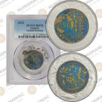 Niob 2023 global heating MS70 pcgs