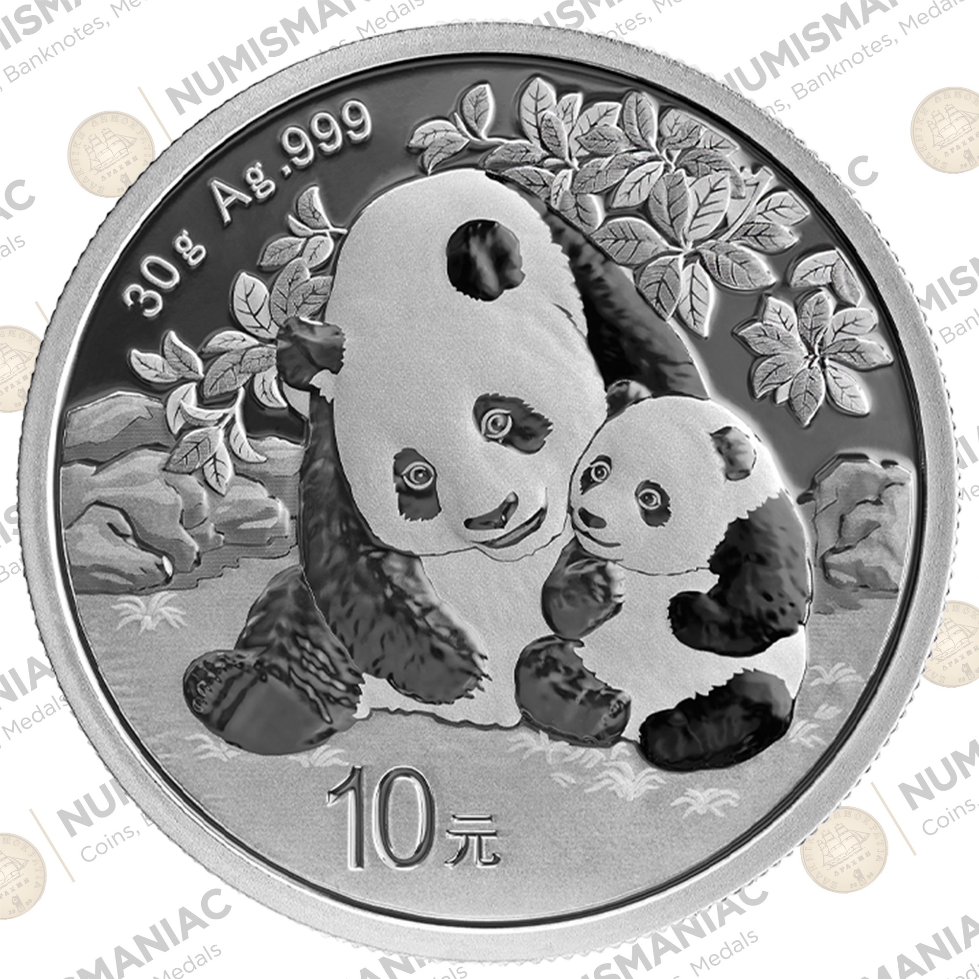 China 🇨🇳 Panda 2024 30g Silver Bullion Coin.A