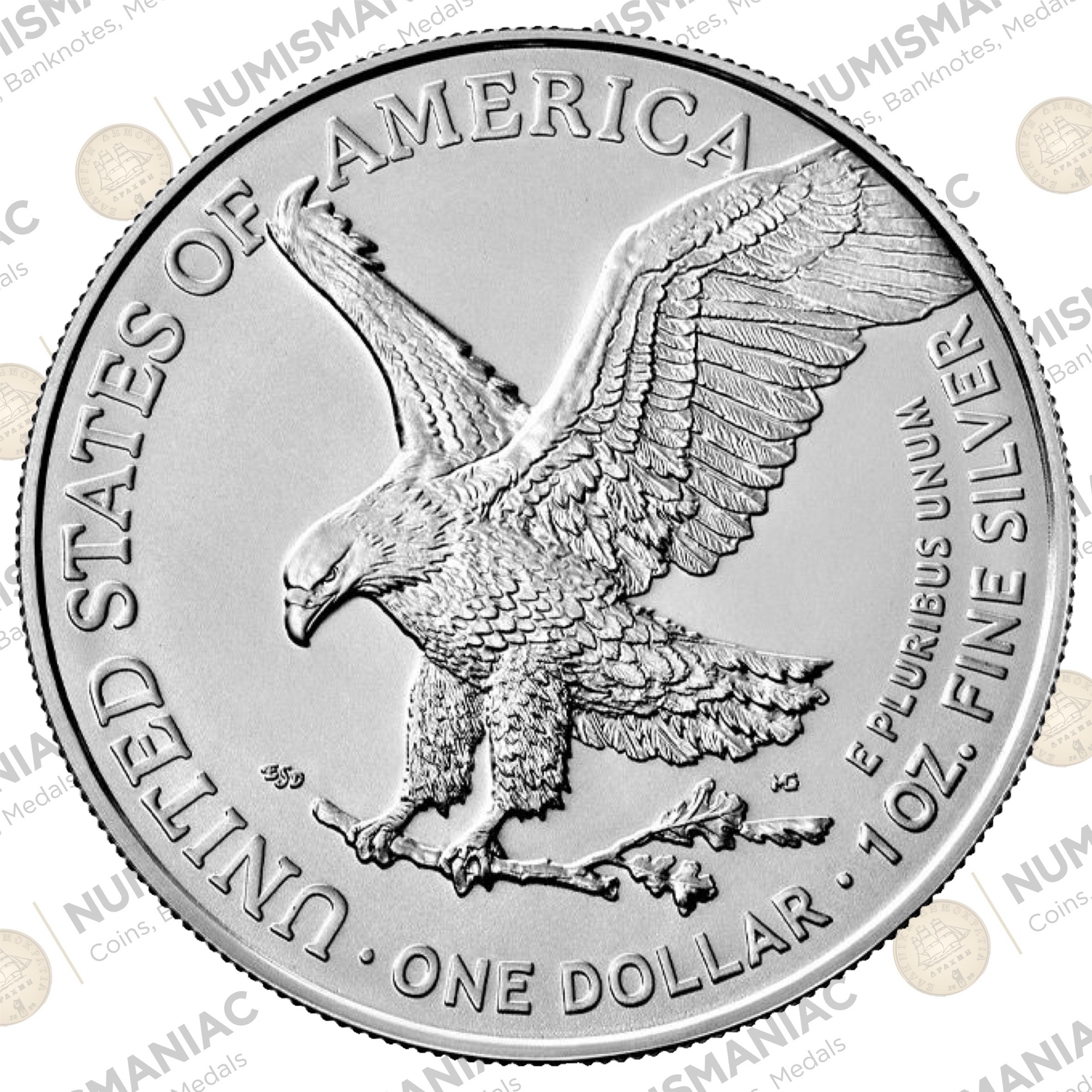 USA 🇺🇸 Silver Eagle 2024 Α