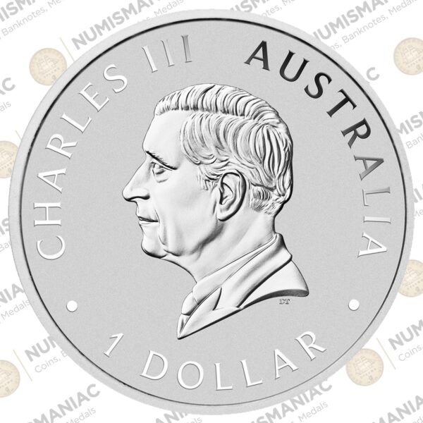 Australia 🇦🇺 KOOKABURRA 2024 1oz Silver Bullion Coin.B