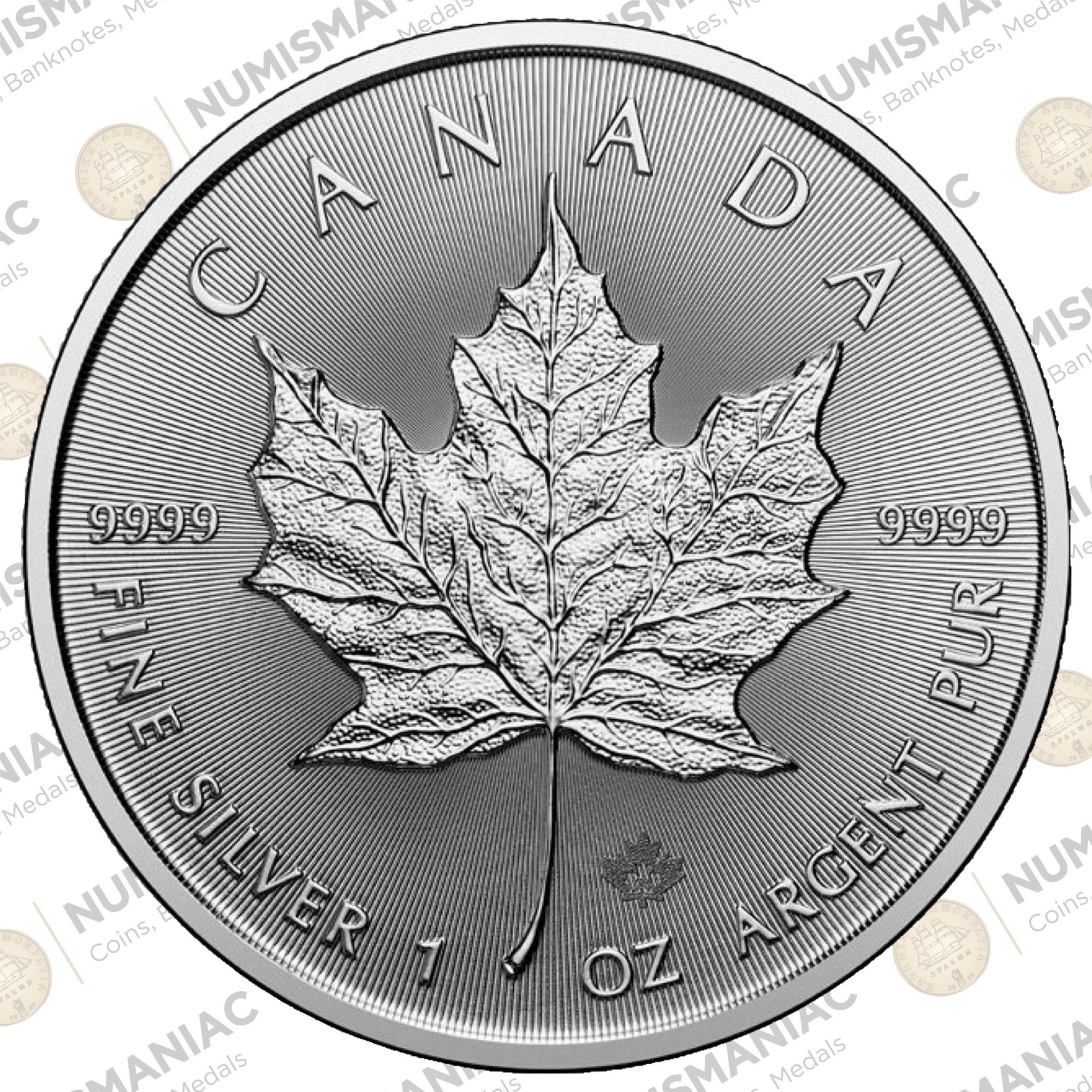 Canada 🇨🇦 Maple Leaf 2024 1oz Silver Bullion Coin. A