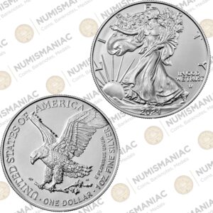USA 🇺🇸 Silver Eagle 2024