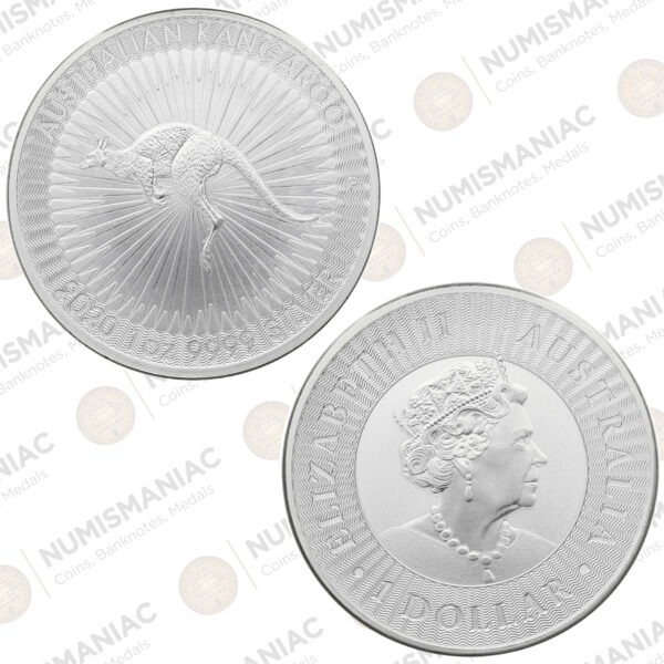 Australia 🇦🇺 Kangaroo 2022 1oz Silver Bullion Coin.