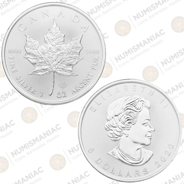 Canada 🇨🇦 Maple Leaf 2022 1oz Silver Bullion Coin.