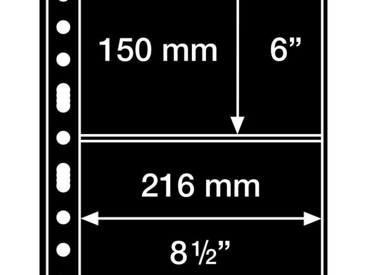 Leuchtturm – 10 Pochettes à Billets 3 Compartiments – 165 X 70 Mm – Transparentes Polyester – Album Numis 4 Compatible