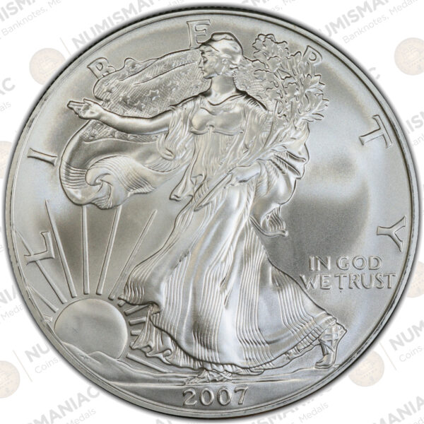 USA 🇺🇸 Silver Eagle 2007 - 1oz Silver Bullion Coin 1st Type. - Image 3