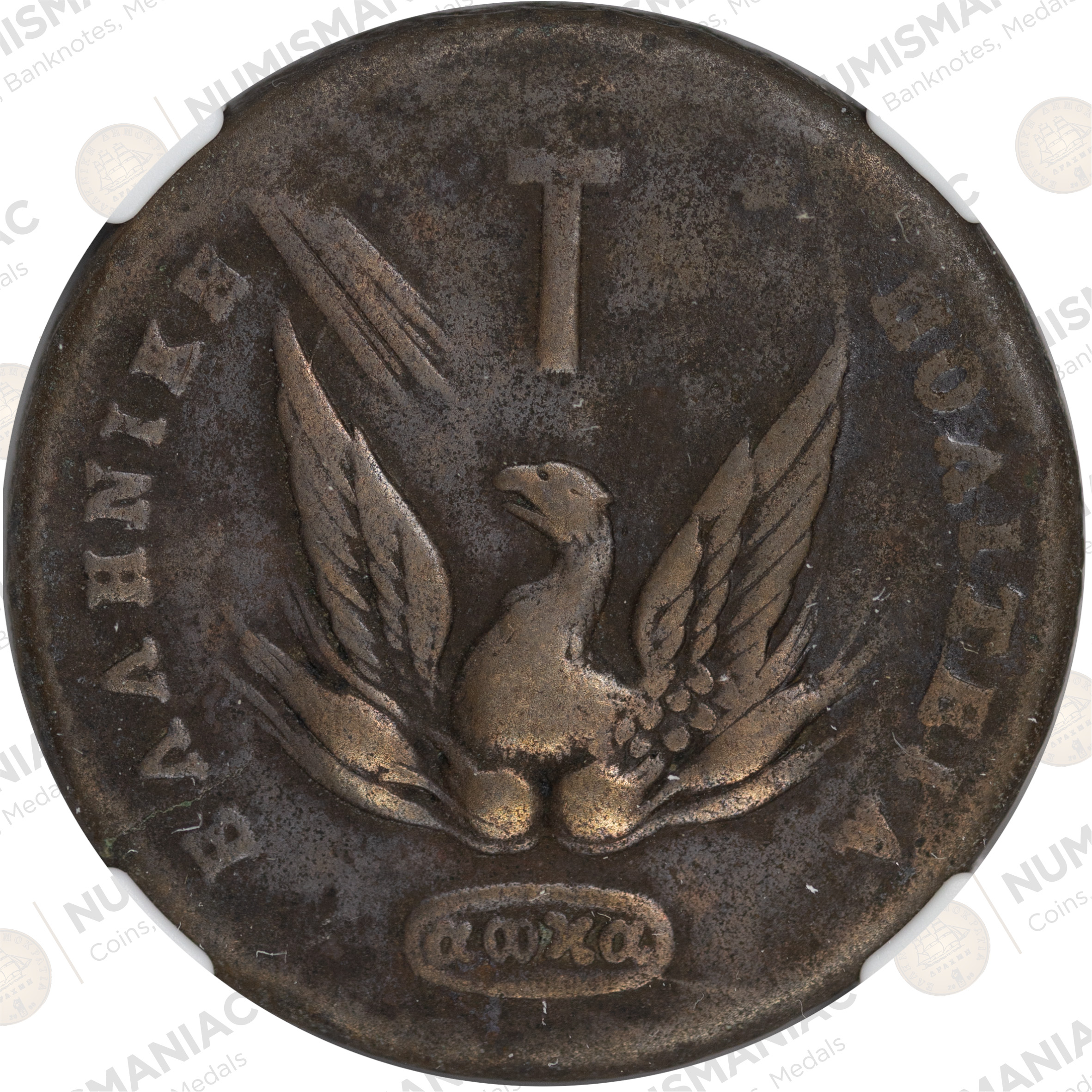Greece 🇬🇷 1831 Copper 20 Lepta – Ioannis Kapodistrias – NGC VF Details (Chase 481-E.f) - Image 3