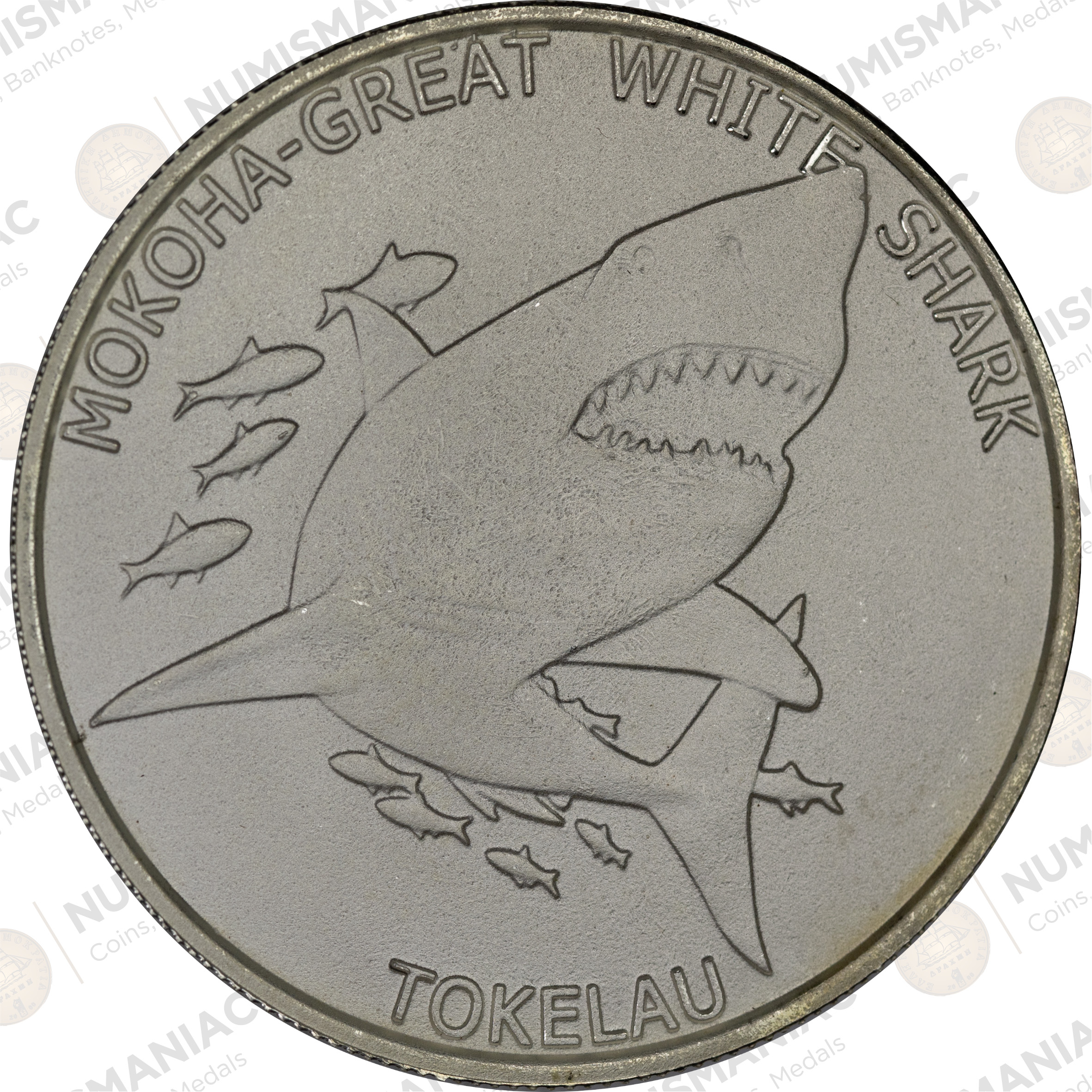 Tokelau 🇹🇰 2015 1 oz Silver Mokoha-Great White Shark Coin – .999 Fine Silver Bullion Series - Image 2