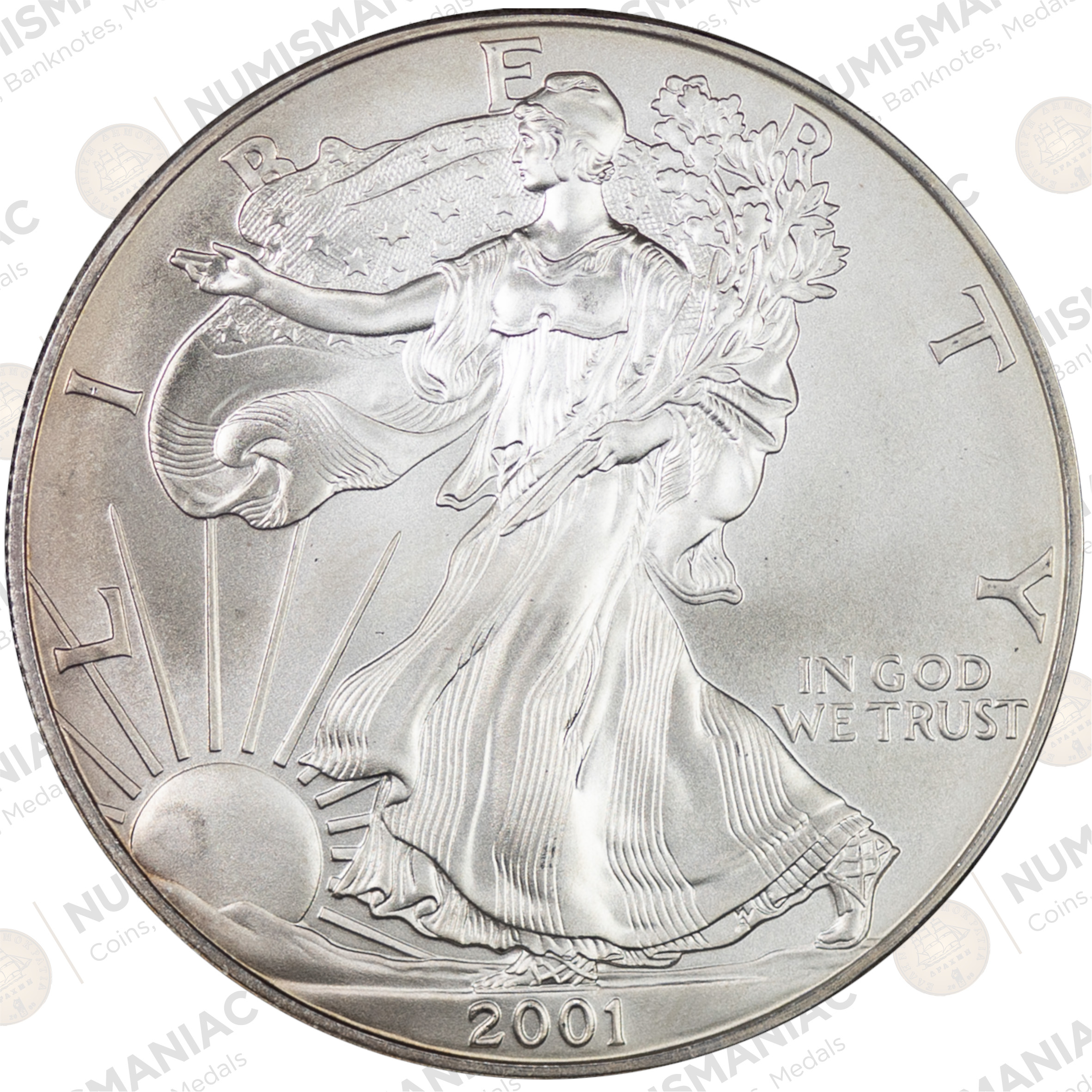USA 🇺🇸 2001 1 oz Silver American Eagle Bullion Coin – (Ag / 31.1gr/ .999). - Image 3