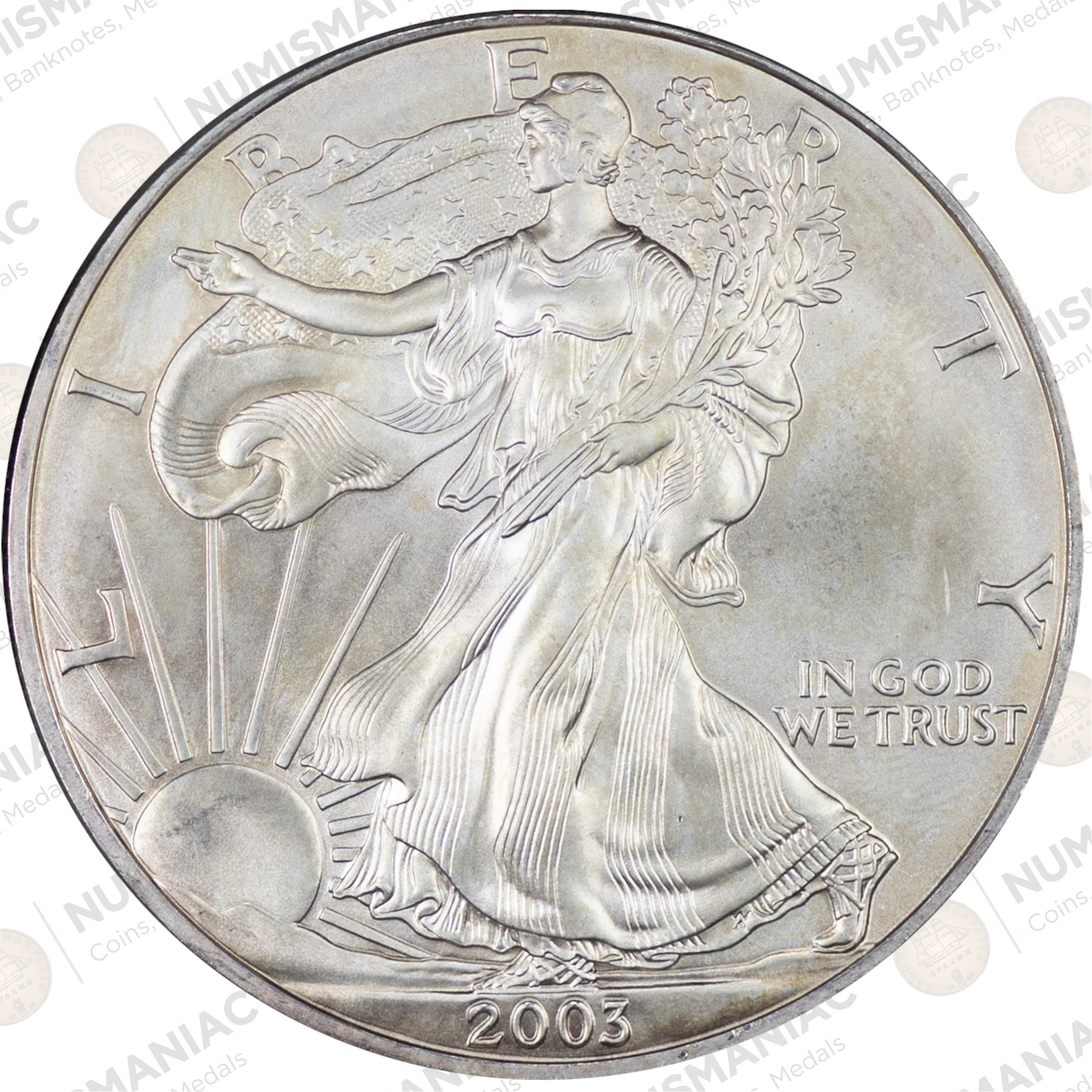USA 🇺🇸 2003 1 oz Silver American Eagle Bullion Coin – (Ag / 31.1gr/ .999). - Image 3