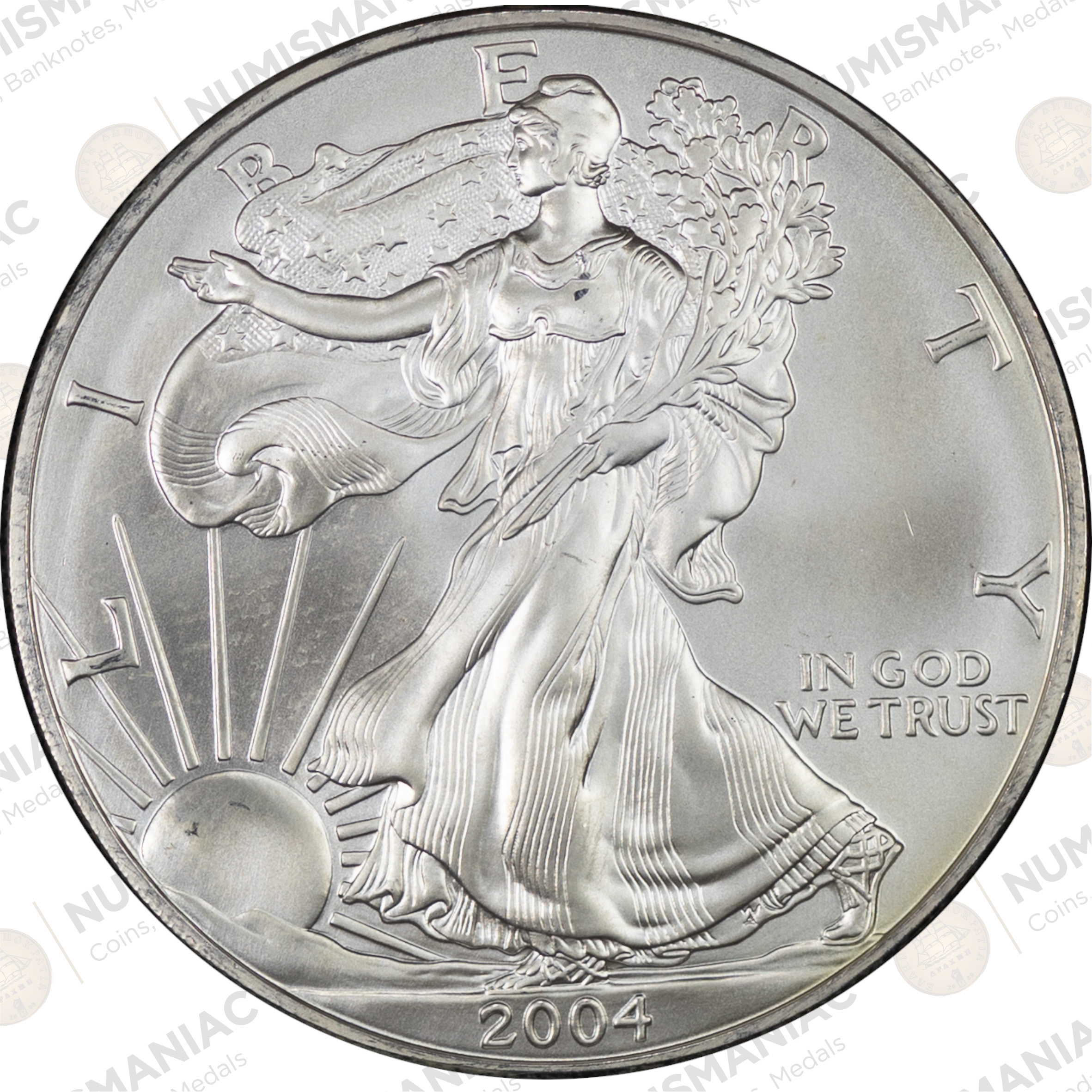 USA 🇺🇸 2004 1 oz Silver American Eagle Bullion Coin – (Ag / 31.1gr/ .999). - Image 3