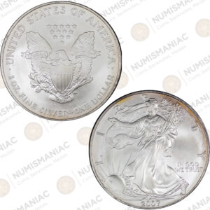 USA 🇺🇸 2007 1 oz Silver American Eagle Bullion Coin – (Ag / 31.1gr/ .999).