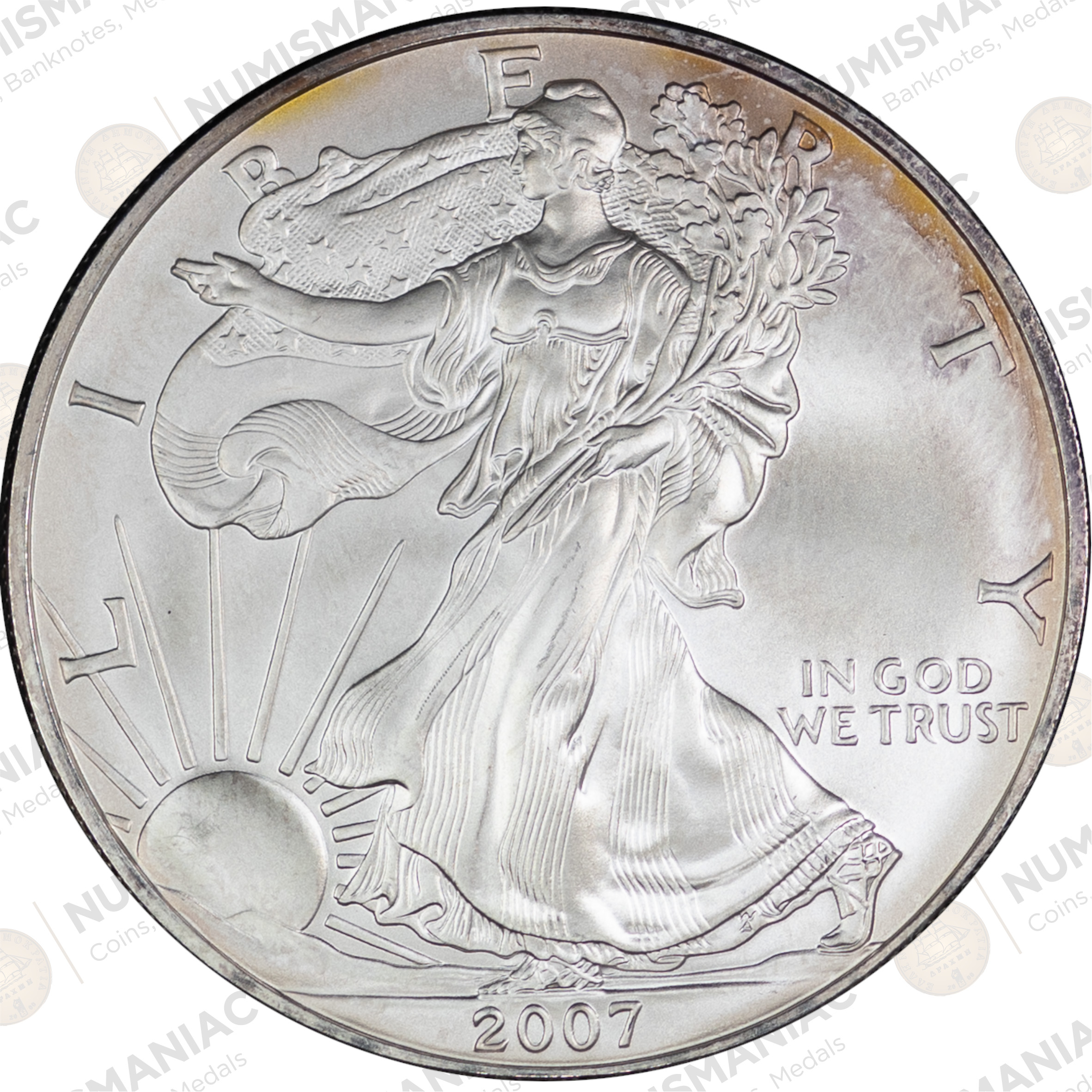 USA 🇺🇸 2007 1 oz Silver American Eagle Bullion Coin – (Ag / 31.1gr/ .999). - Image 3