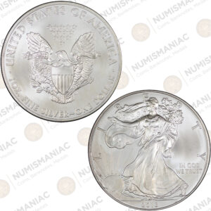USA 🇺🇸 2013 1 oz Silver American Eagle Bullion Coin – (Ag / 31.1gr/ .999).